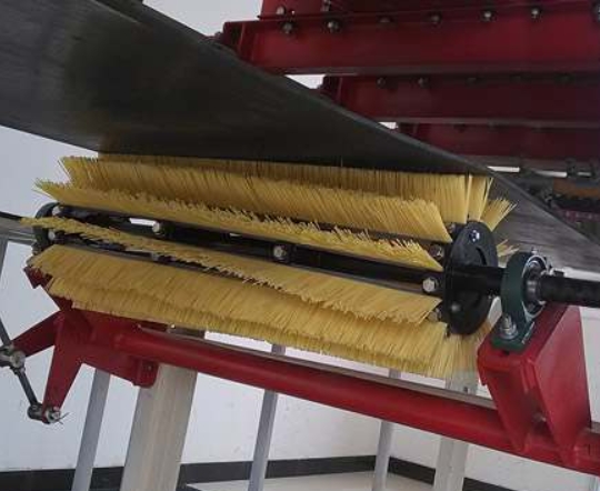 Conveyor brush